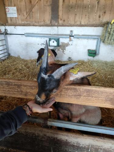 306916576_5420973984687661_4197952619310356189_n