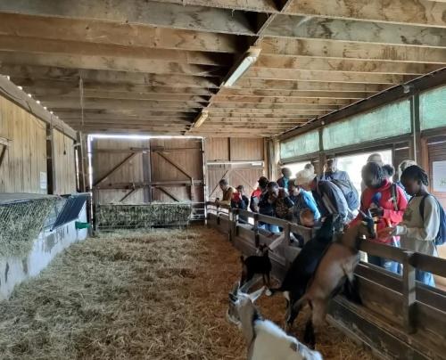 307308749_5420971521354574_2892207845044521454_n