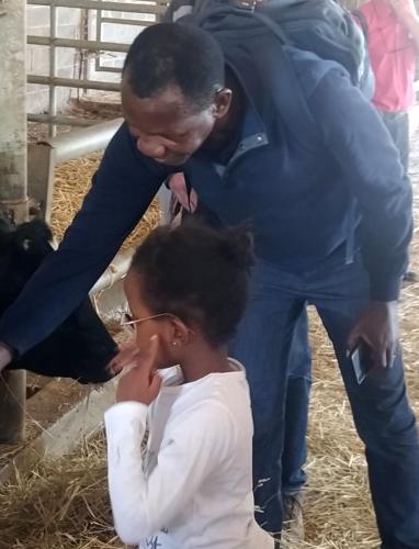 bergerie_nationale_18_cor