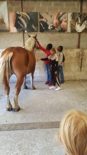 bergerie_nationale_5